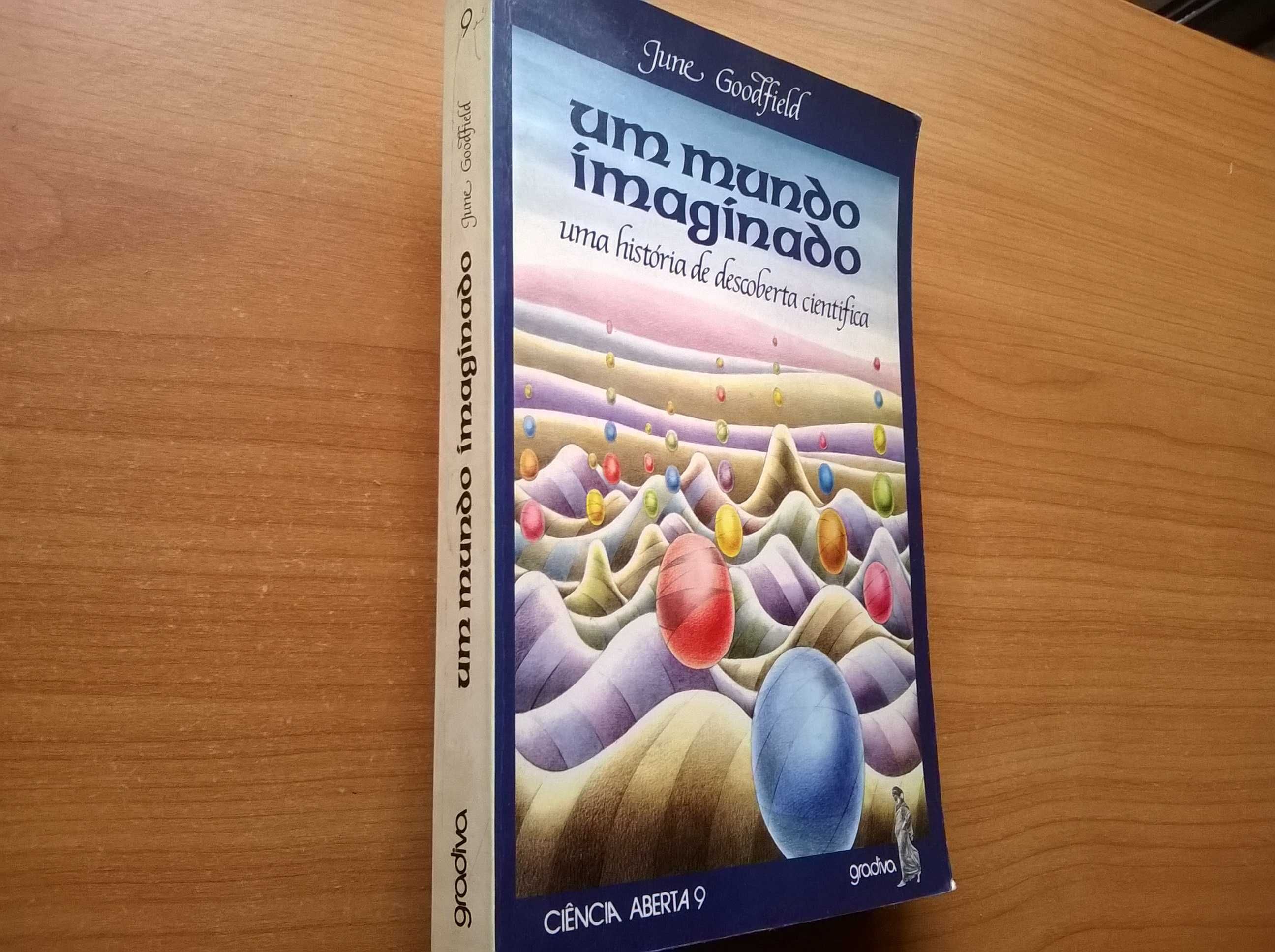 Um Mundo Imaginado - June Goodfield