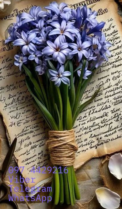 Ваша текстова підтримка. Ексклюзивні тексти різного призначення. МАН.