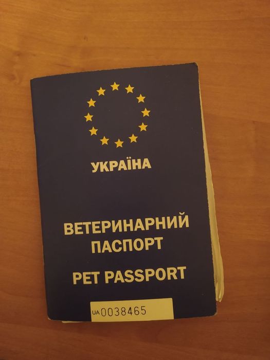 Потрібна наречена