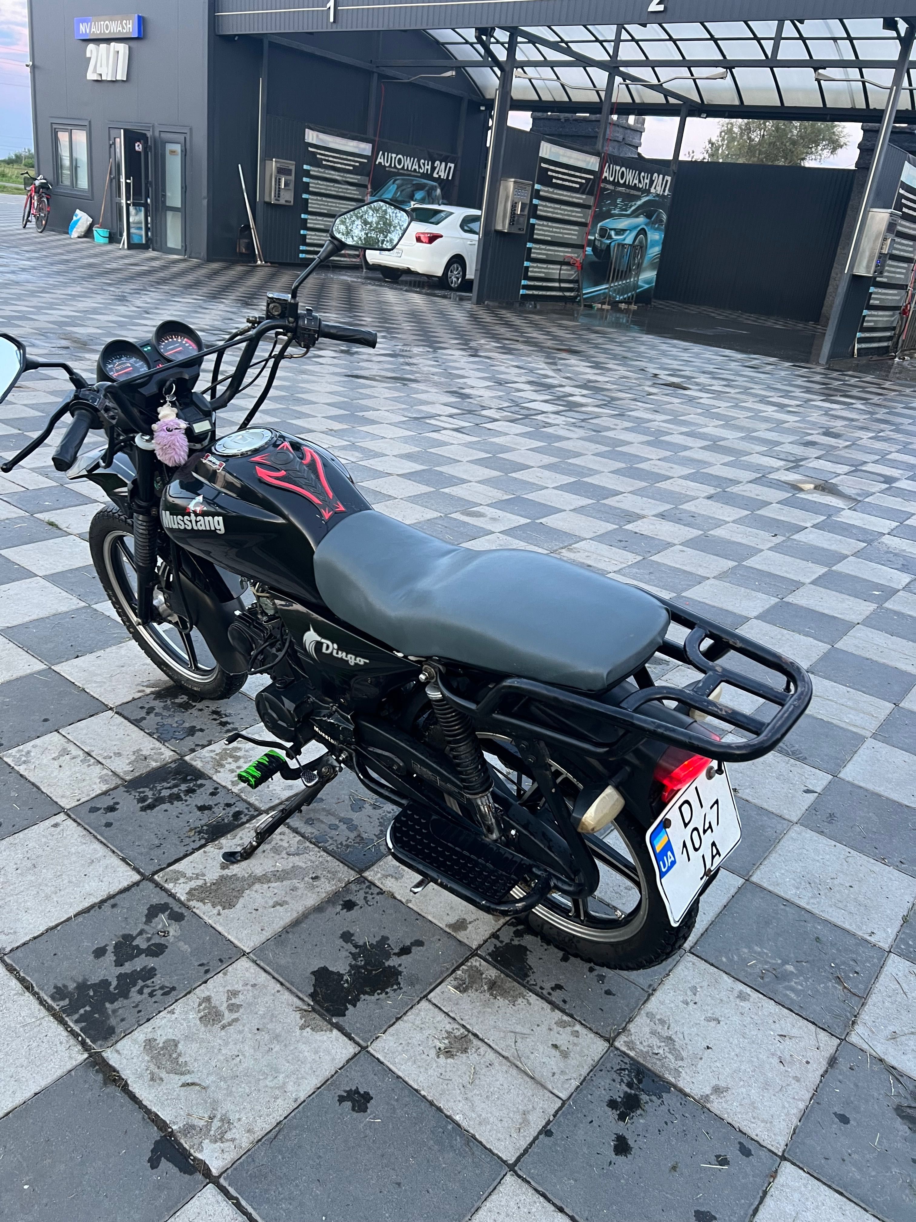 Musstang Dingo 125