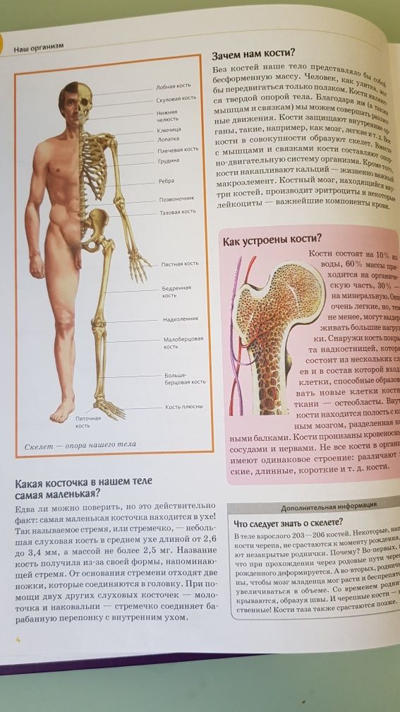 Книга -энциклопедия