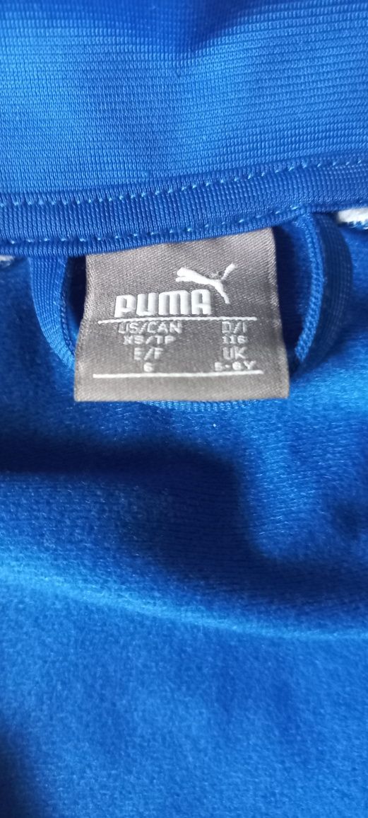 Bluza Puma chlopieca
