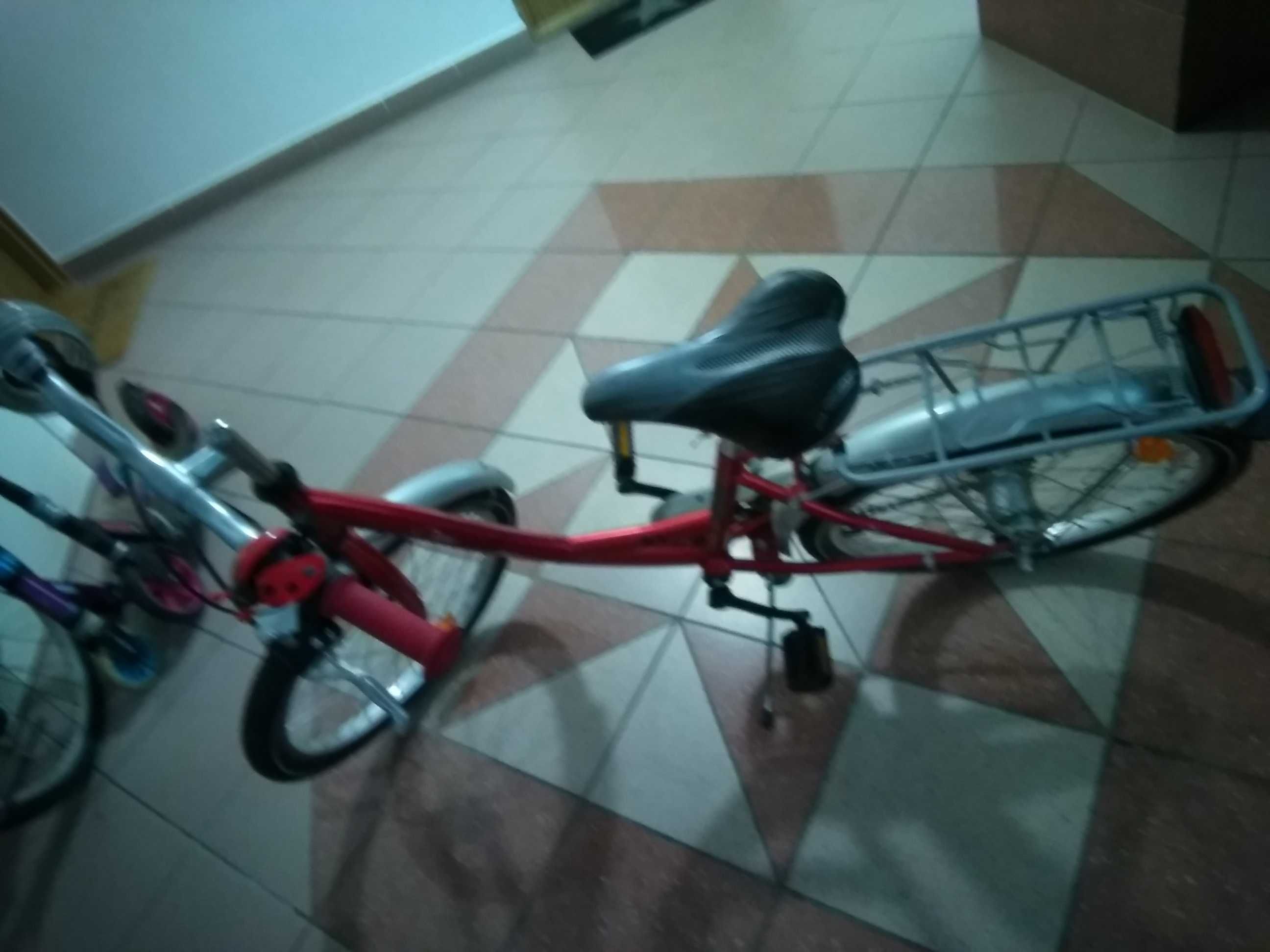 Rower dziecięcy.  Goł Sport