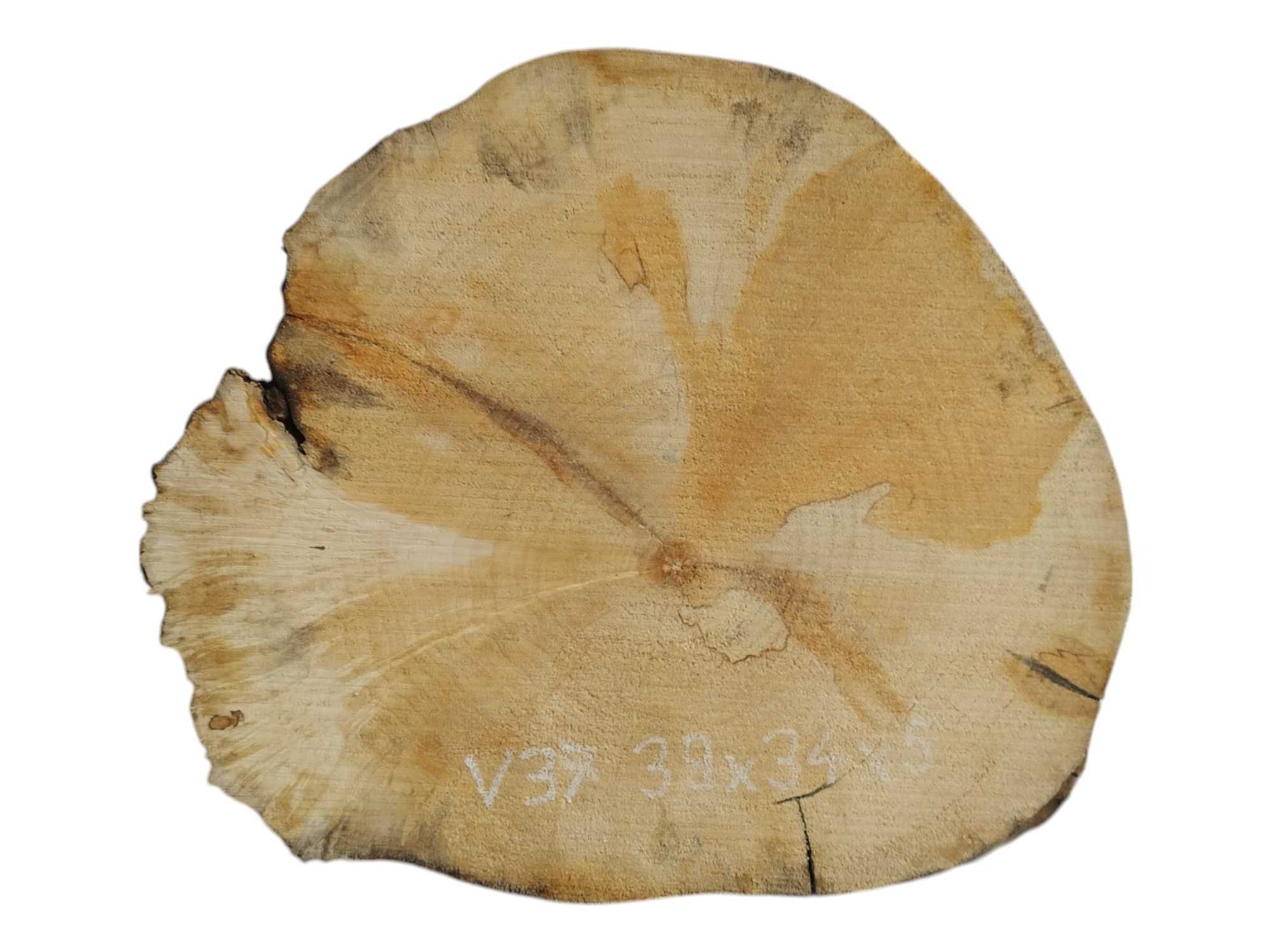 Plastry Drewna Wierzba z Czeczotą Małe Rozmiary 40cm