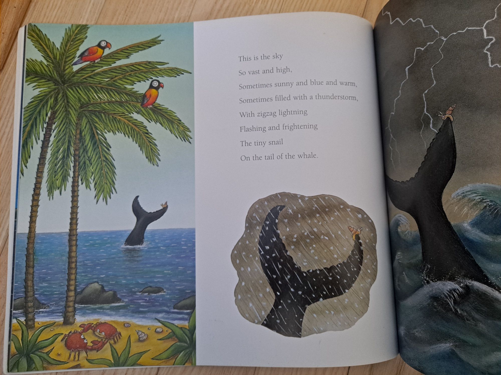 The Snail and the Whale. Julia Donaldson. Axel Scheffler.