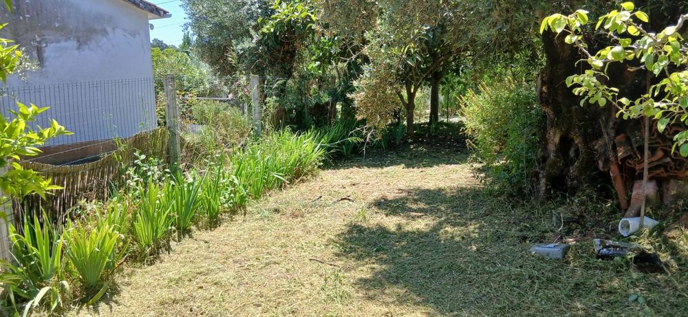 Limpeza de terrenos, jardins e quintais