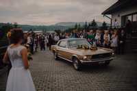 Ford Mustang 1968 Do ślubu - Wolne terminy ! Mustangiem do ślubu !
