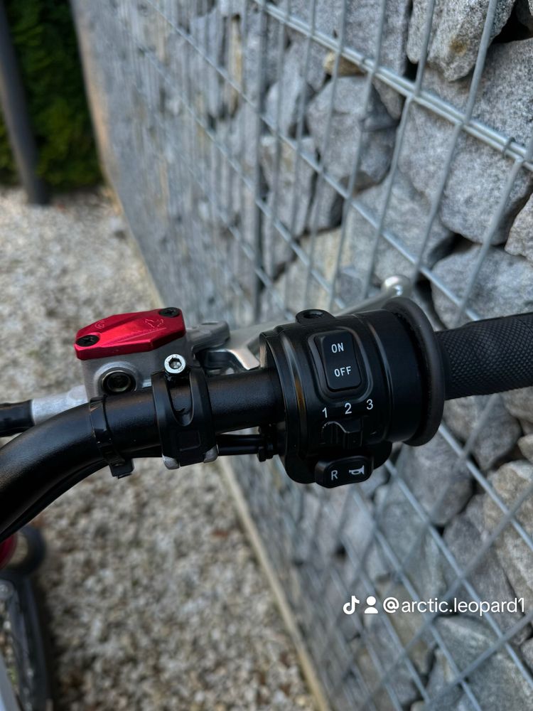 Електробайк Arctic leopard EXT 700