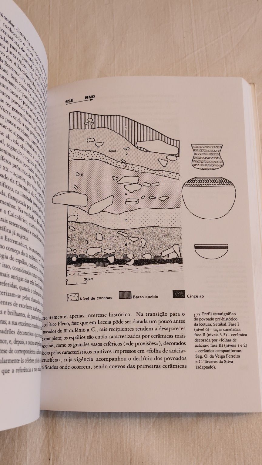 Pré-História de Portugal, João Luis Cardoso