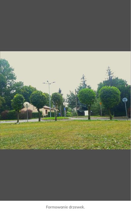 Koszenie trawy, Wycinka drzew