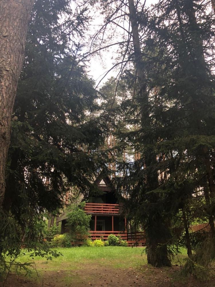 Domek letniskowy Warchaly