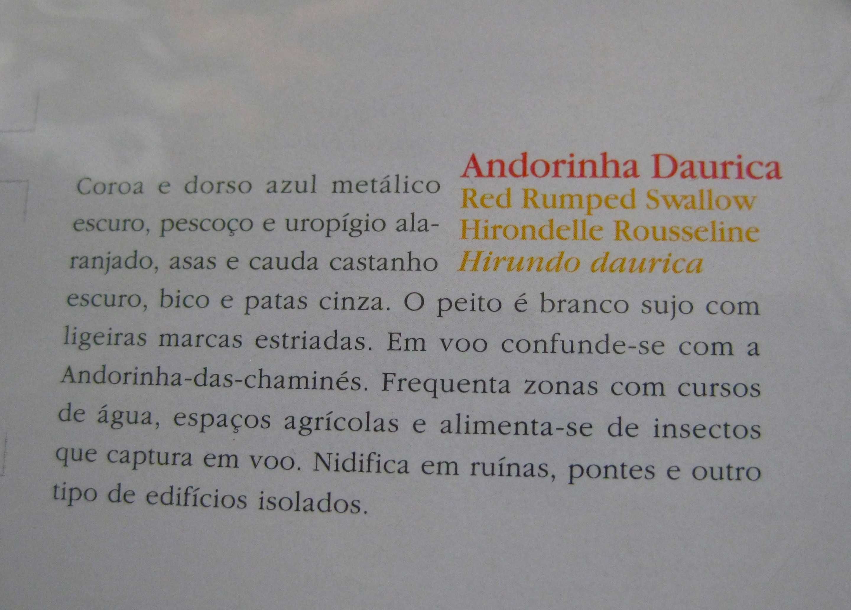 Carteira de Selos Aves (5º Grupo) 2004 sem Selos