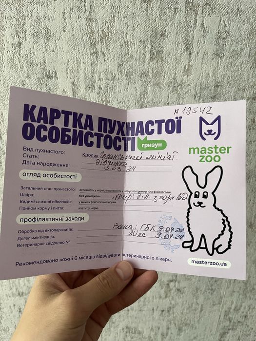 Кролик голанський мініат разом з кліткою та всим комплектуючим