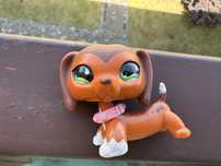 Lps Littlest pet shop Hasbro #675 dachshund Sava