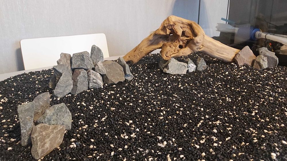 Akwarium 56l jak nowe, pełen zestaw, LED, aranżacja i sprzęt