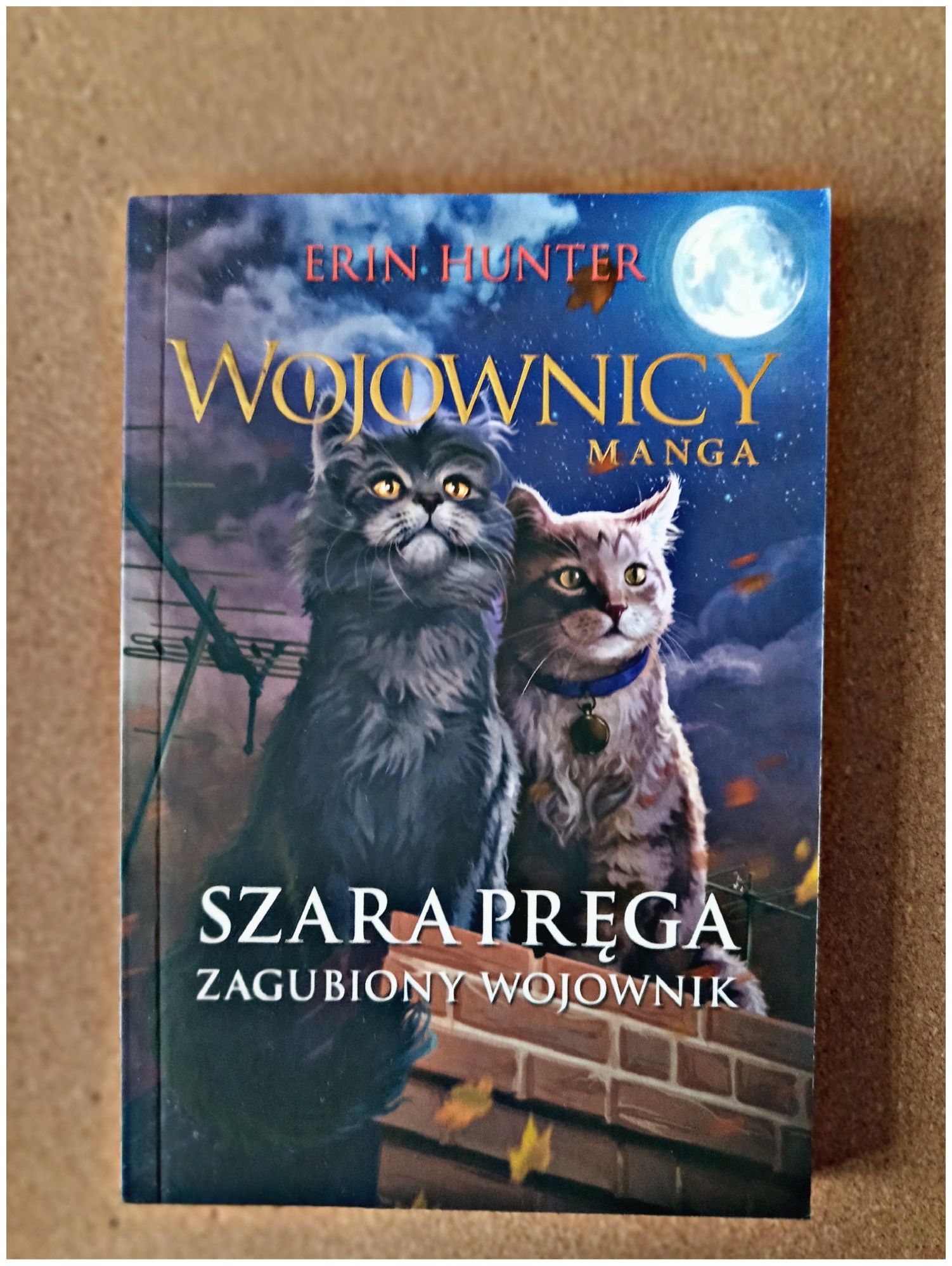 Manga Wojownicy Szara Pręga Zagubiony Wojownik