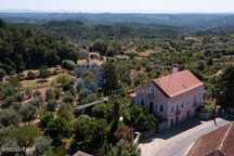 Quinta Casa Delfina com cerca de 3 hectares, casa Senhorial, ruína e a