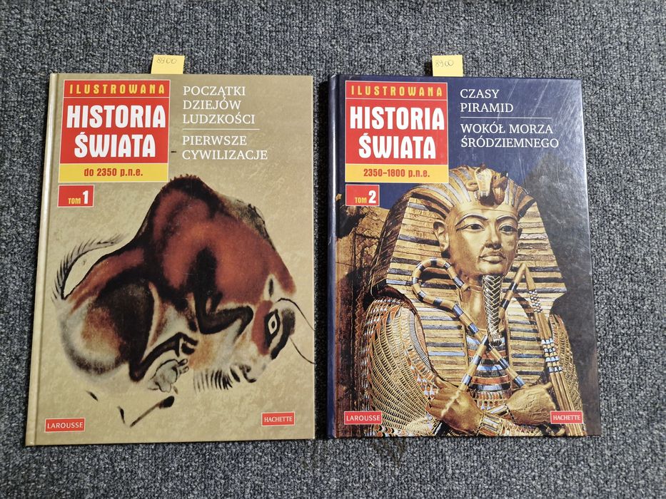 8900. "Ilustrowana historia świata "
