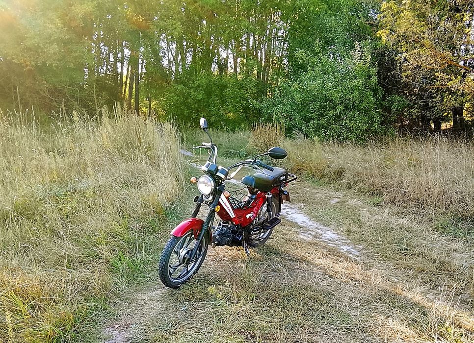 Мустанг 110 Mustang