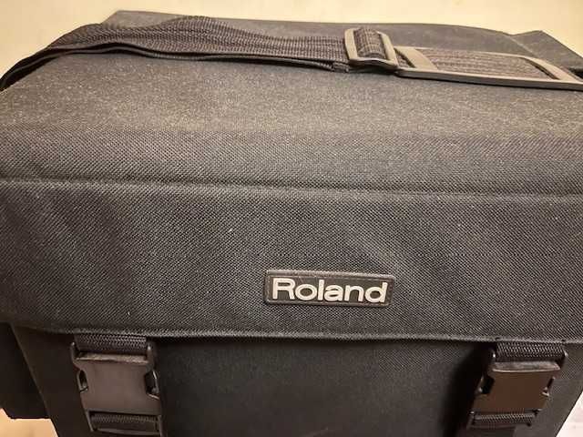 Amplificador Roland AC 60