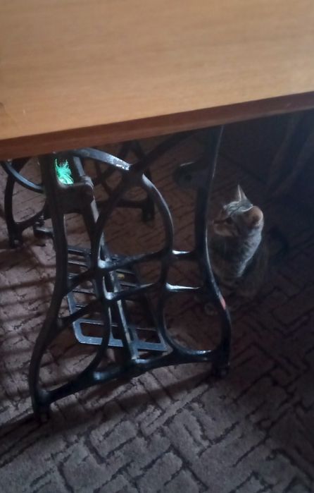 Низ машинки для стола или барбекю