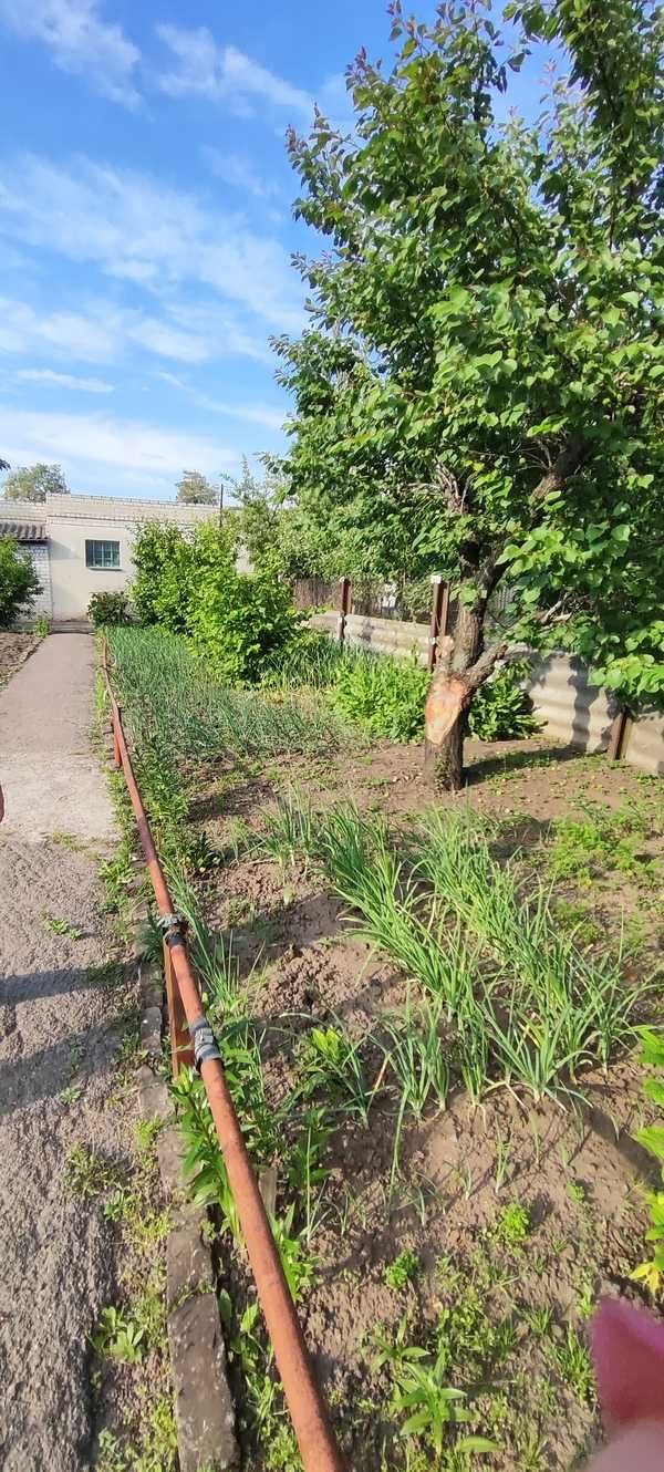 Продається будинок в тихому місці