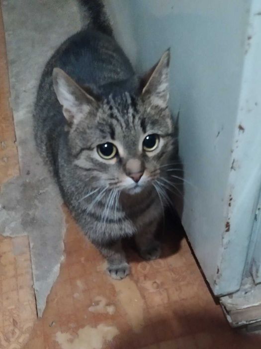 Маша терміново шукає родину