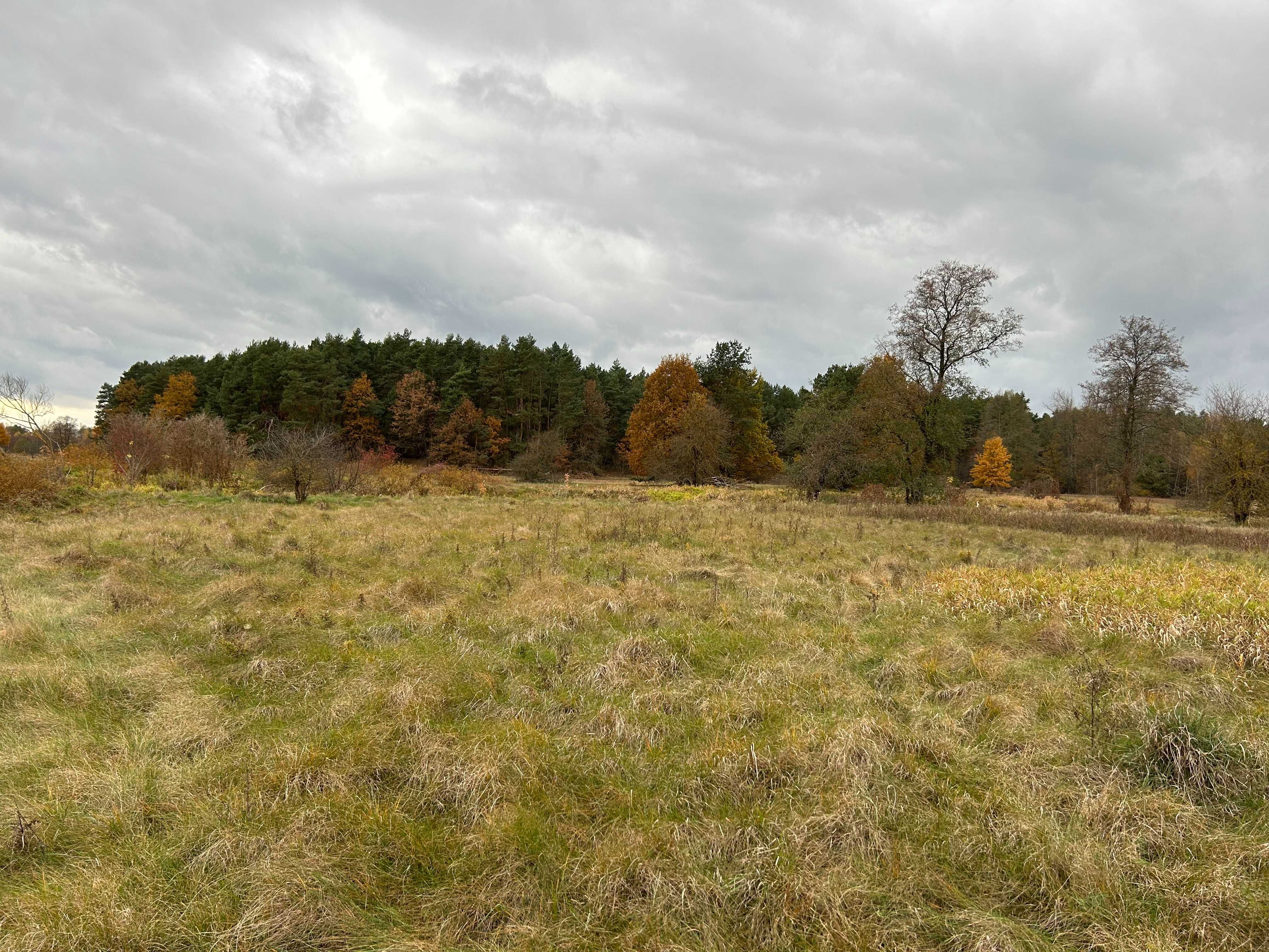 DZIAŁKA Z BEZPOŚREDNIĄ LINIĄ Brzegową rzeki Bobrza - Raj dla Wędkarza