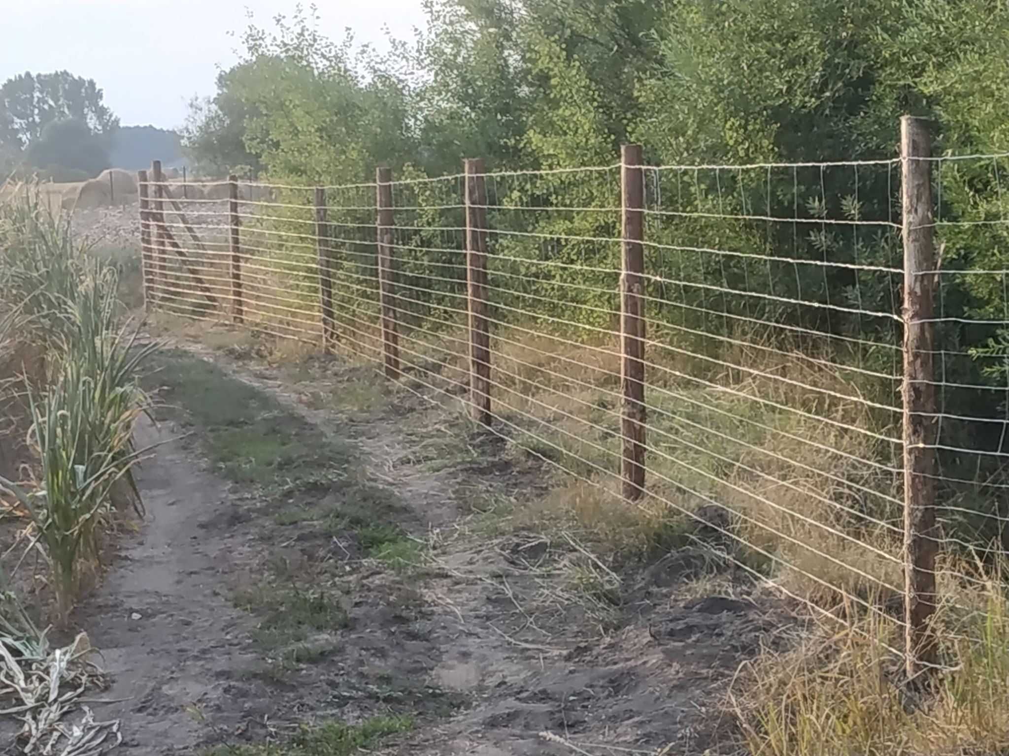 Siatka leśna 150/10/30 ocynkowana autostradowa budowlana na dzik ASF