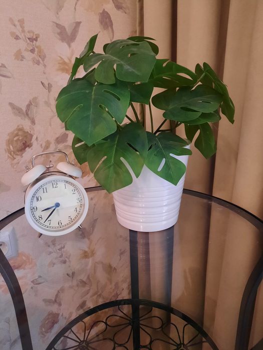 Кашпо з вазоном, кухонна лопатка пласмасова