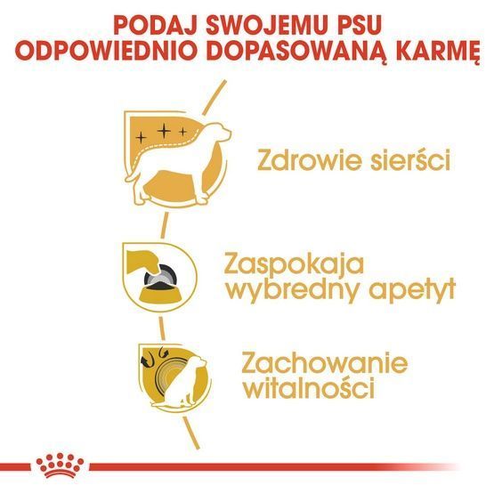 Karma z prebiotykiem dla psów rasy Yorkshire Terrier Royal Canin 0,5kg