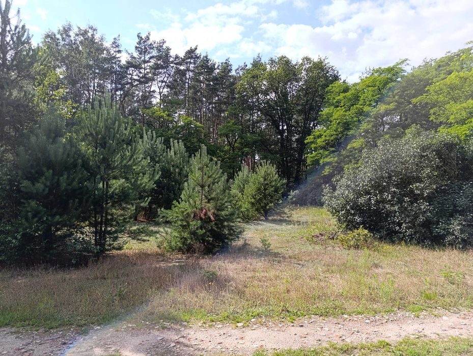 16 działek budowlanych od 1040m2 do 1254m2, Ludowinka gm. Wodzierady