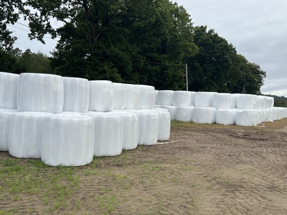 Sianokiszonka, lucerna, koniczyna.. 2025!