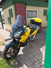 Suzuki v-strom 1000