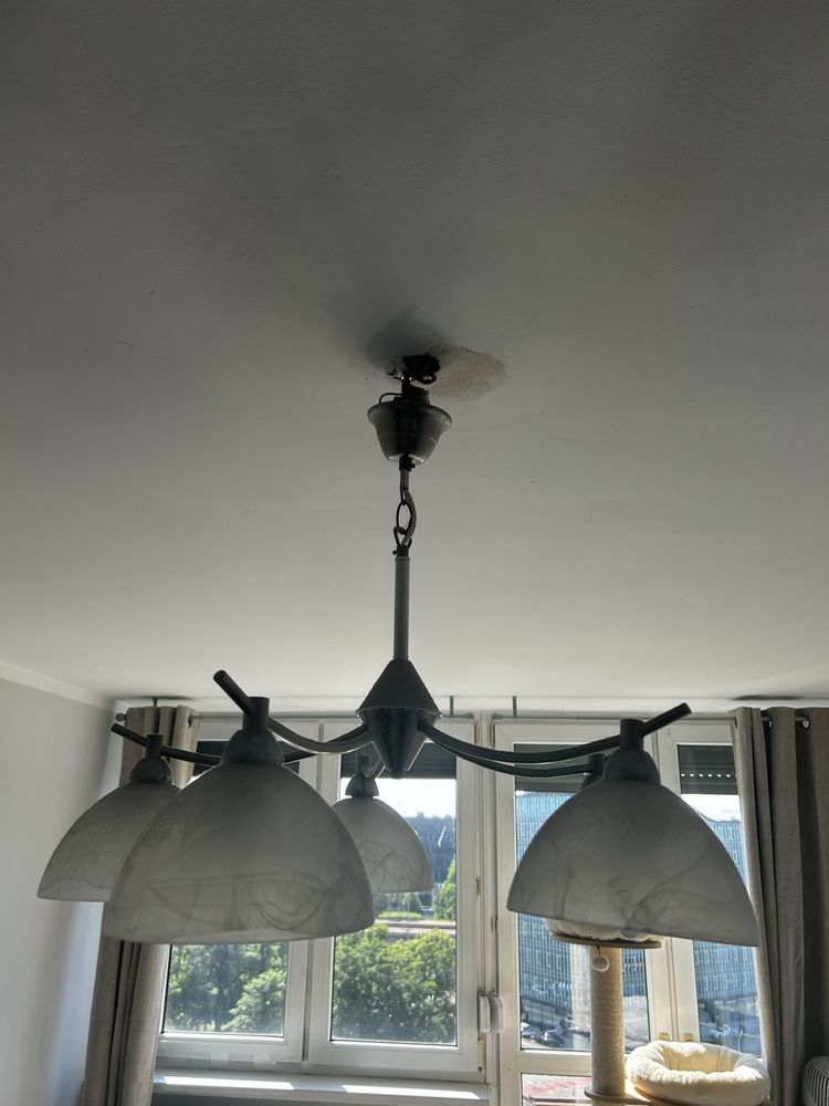 Zestaw lamp, zyradol do stolowego dziennego