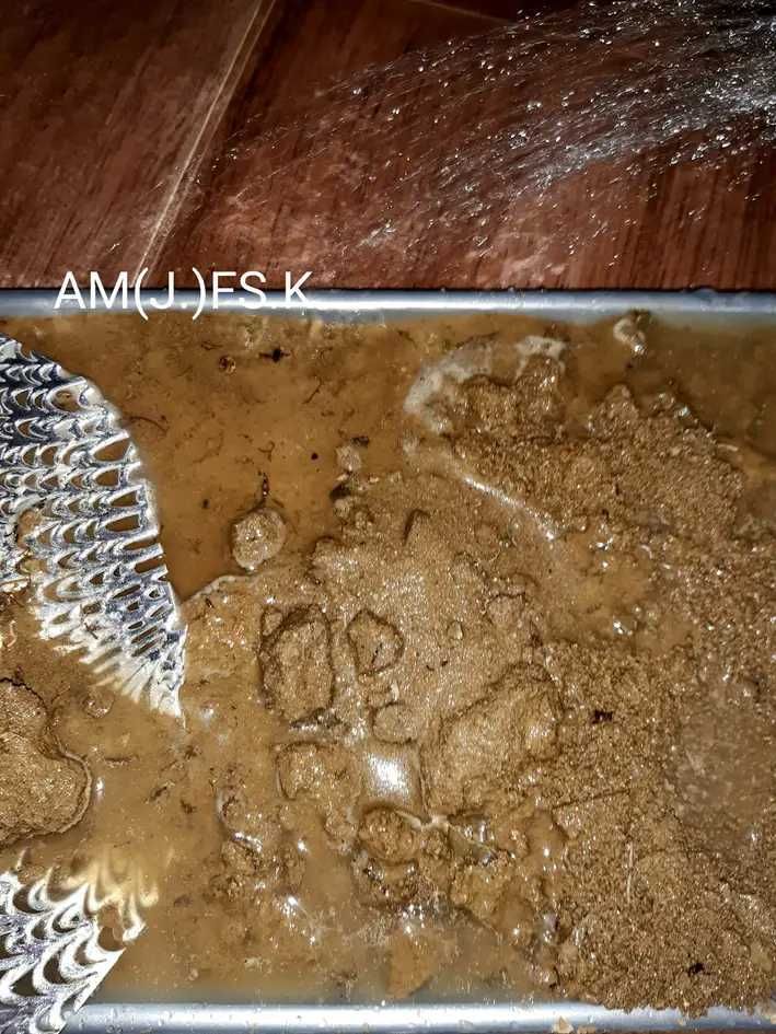 OgROaRrIuM WIELOKRZAK3 ekosystem