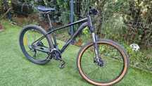 Rower MTB Serious Shoreline
