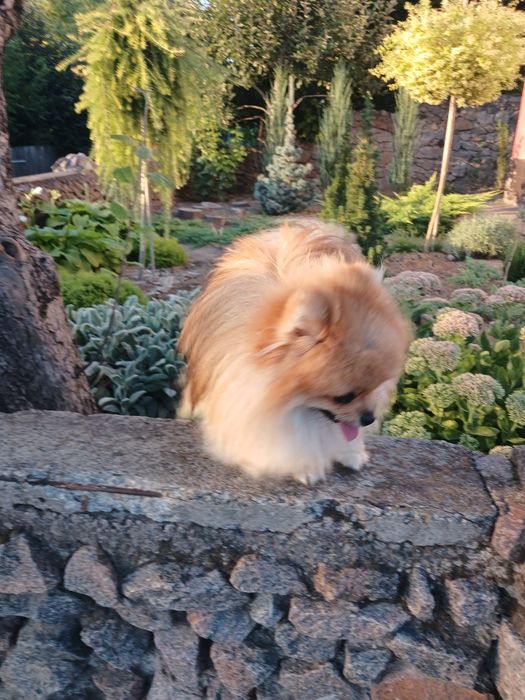 Неймовірно красивий хлопчик