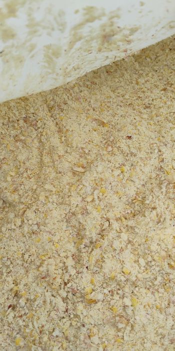 Ziarno kukurydzy ccm