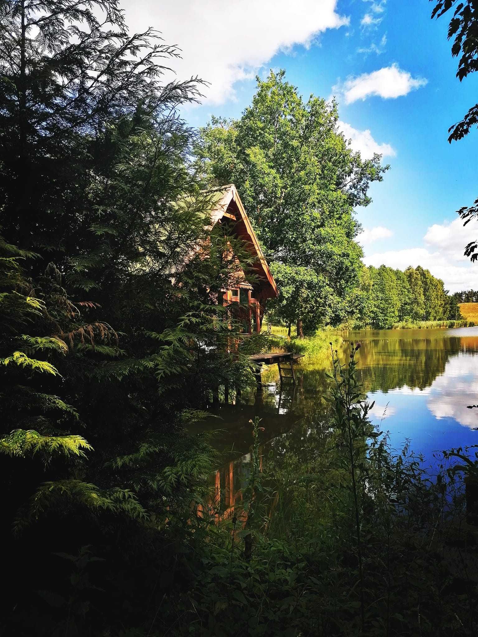 domek nad jeziorem w lesie, cisza, urlop. sauna, łowisko, wypoczynek,