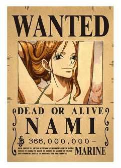 Plakat One Piece