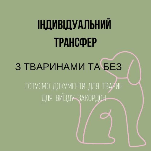Індивідуальний трансфер ,індивідуальні перевезення ,перевезення тварин