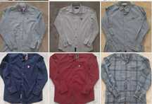 5 Camisas Lion of Porches 8 anos