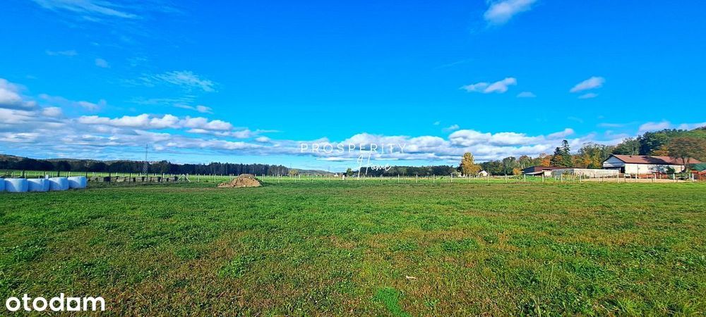 Działki budowlane w Zelewie