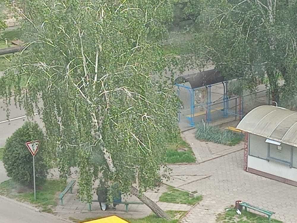 Продаж великої квартири. Олімпійська, 2а