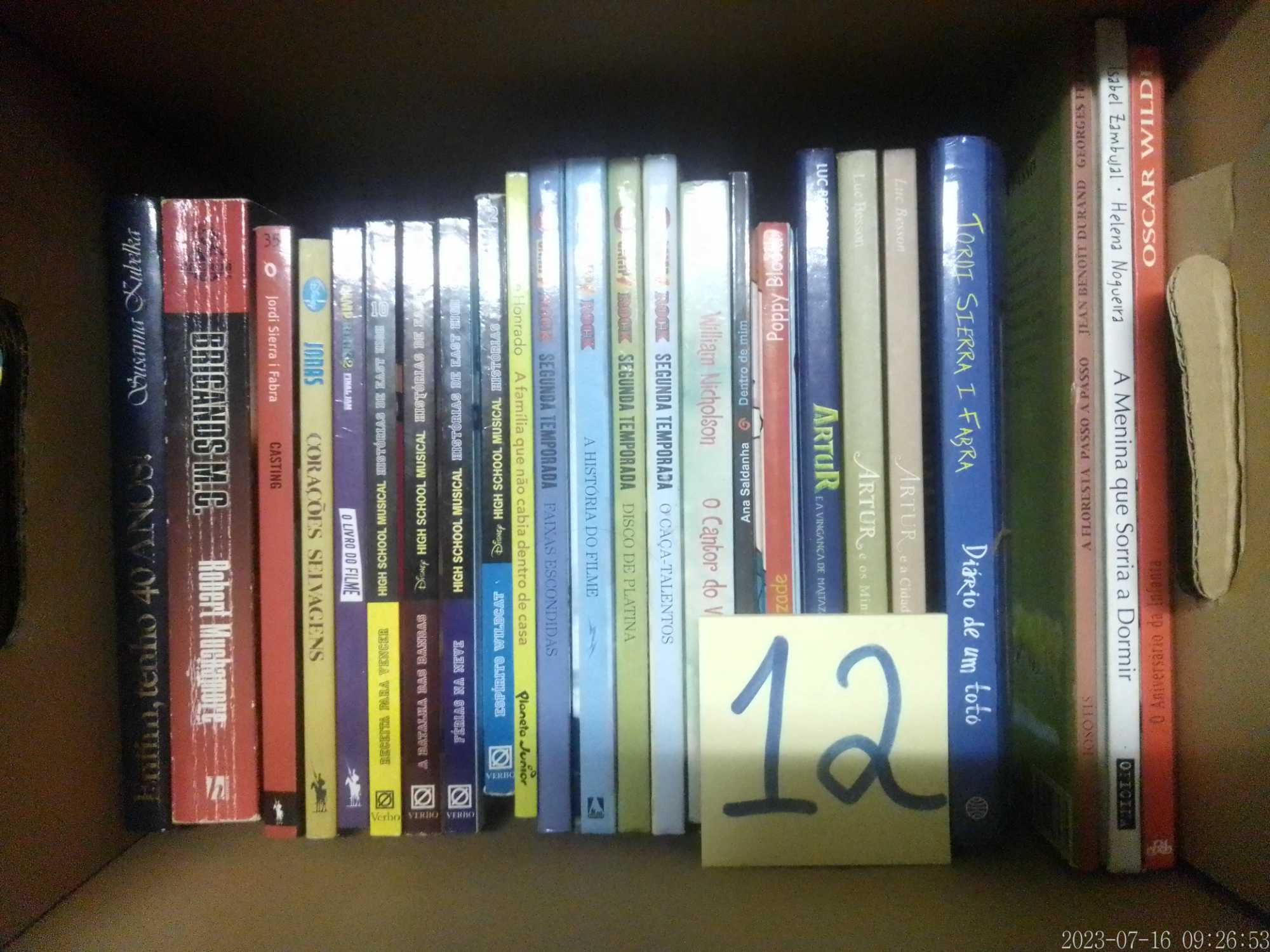 LOTE 12 - LIVROS Diversos - Vendidos INDIVIDUALMENTE - Vários Preços