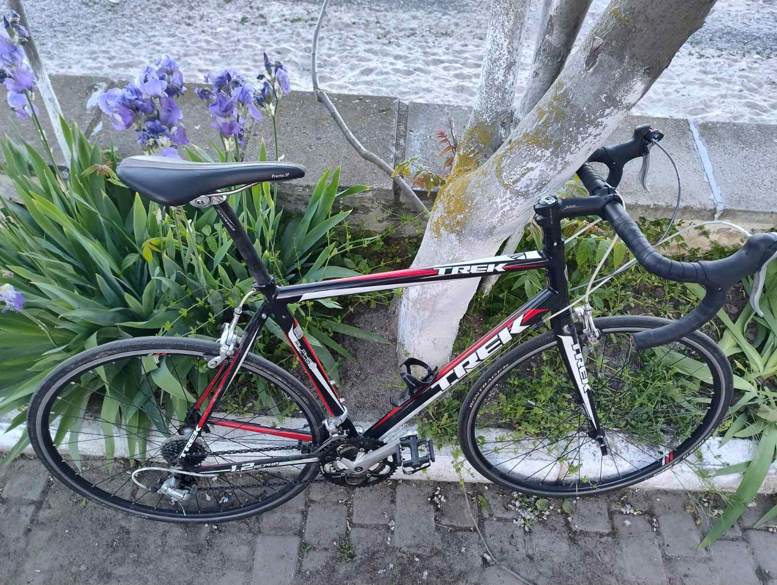 Продам шоссейный велосипед Trek 1.2 alpha