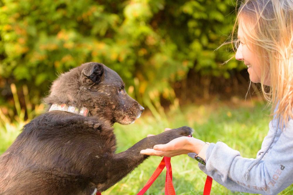 SPARTUS - patrzy tylko jednym oczkiem ale pokocha całym sercem