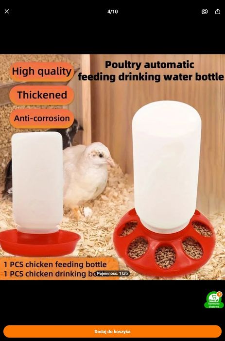 Odchownik poidło  dla kurczat/ gołębi