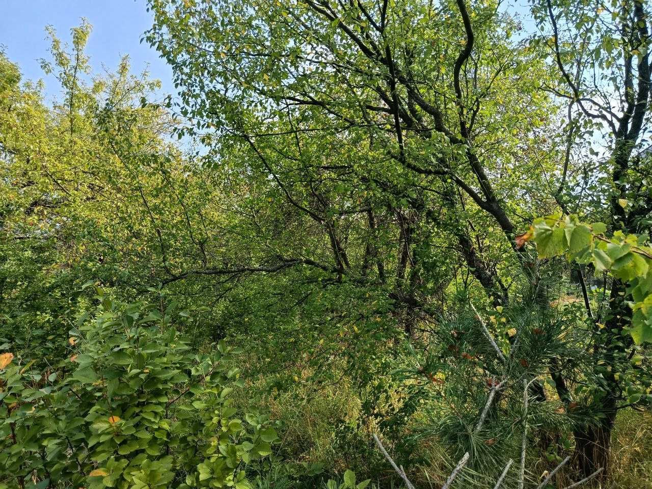Продам 4,5-сот під садівництво Соколовский масив